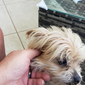 Meet your Posher, Paul